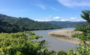 Amazon rainforest Puerto Maldonado Peru jungle lodge wildlife tour