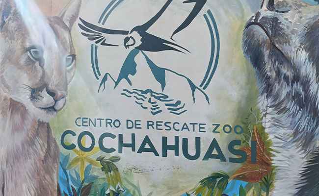 Taxi Cusco to Cochahuasi Animal Sanctuary in Peru